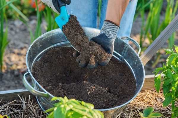 Žiemos pabaigos paslaptys: kaip oras ir dirva sode ruošiasi pavasariui